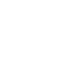 occulus image