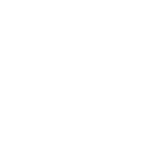 vive image